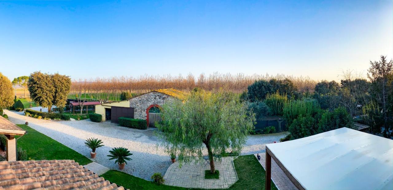 Agriturismo Il Cuscino Nel Pagliaio Campiglia Marittima Εξωτερικό φωτογραφία