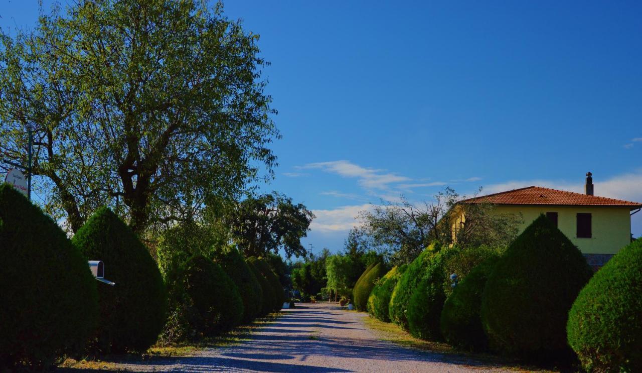 Agriturismo Il Cuscino Nel Pagliaio Campiglia Marittima Εξωτερικό φωτογραφία