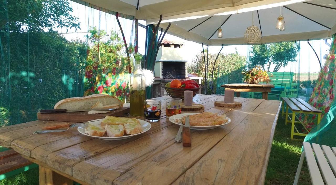 Agriturismo Il Cuscino Nel Pagliaio Campiglia Marittima Εξωτερικό φωτογραφία