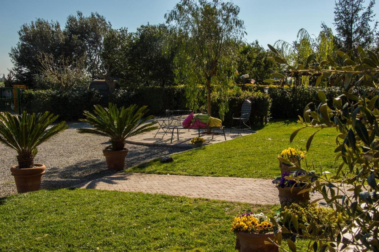 Agriturismo Il Cuscino Nel Pagliaio Campiglia Marittima Εξωτερικό φωτογραφία